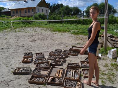 На городище Старая Рязань обнаружены старинные шахматы